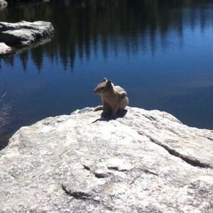 Meet your Posher, Trevor