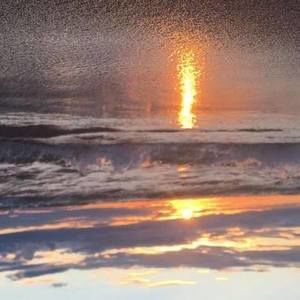 Meet your Posher, Sami