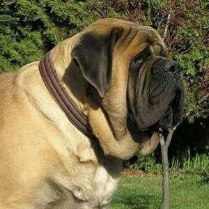 Meet your Posher, Rafael