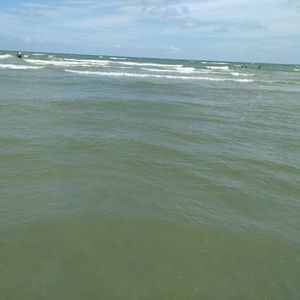 Meet your Posher, Wynter