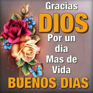 Meet your Posher, Magda