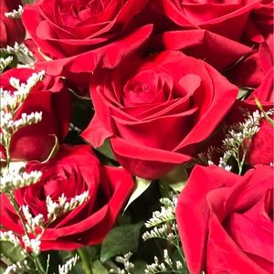 Meet your Posher, Rosidel