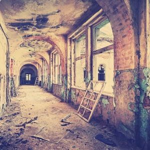 Meet your Posher, Daniela