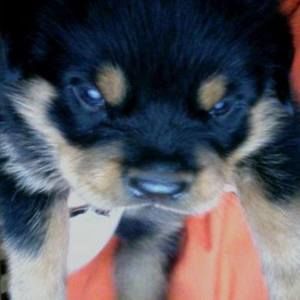 Meet your Posher, Jose