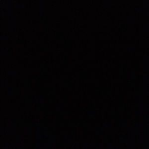 Meet your Posher, Buddy