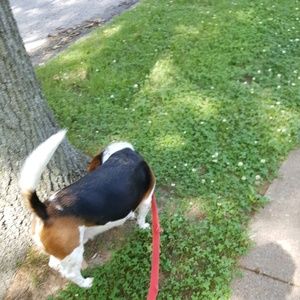 Meet your Posher, Matt