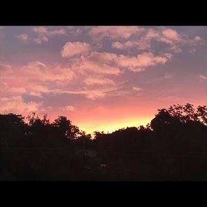 Meet your Posher, Alanis