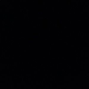 Meet your Posher, Kaylah