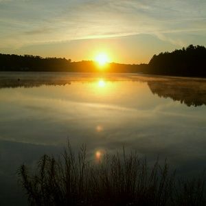 Meet your Posher, Ely