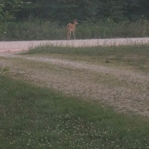 Meet your Posher, Phyllis