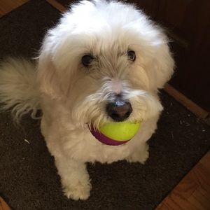 Meet your Posher, Natalie