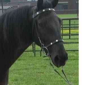 Meet your Posher, Leah