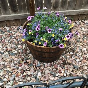 Meet your Posher, Tammy