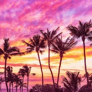 Meet your Posher, Gina