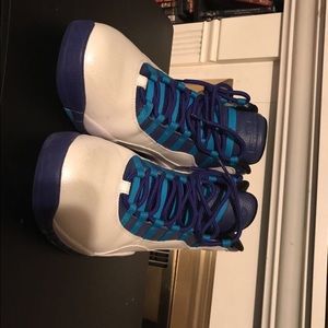 AIR JORDAN 10 RETRO CHARLOTTLE