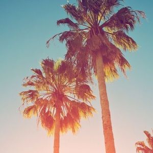 Meet your Posher, Zoe