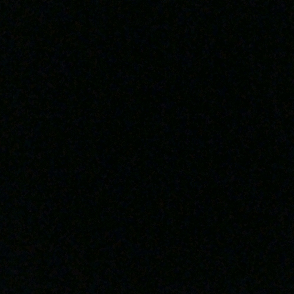 Meet your Posher, Joey