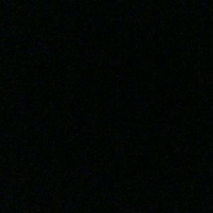 Meet your Posher, Joey