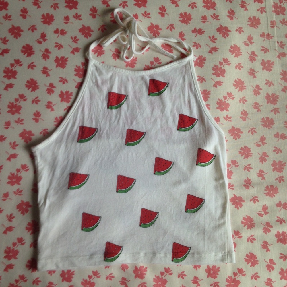 Brandy Melville watermelon sachi
