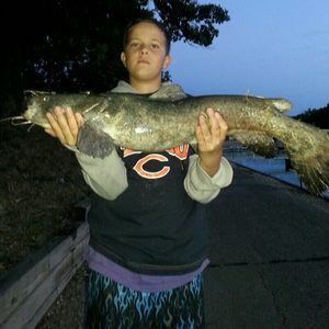 Meet your Posher, George