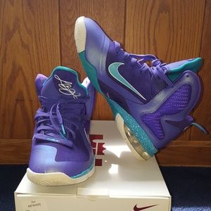 Lebron 9 hornets