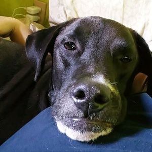 Meet your Posher, Meaghan