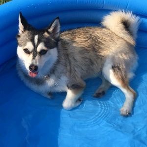 Meet your Posher, Richard