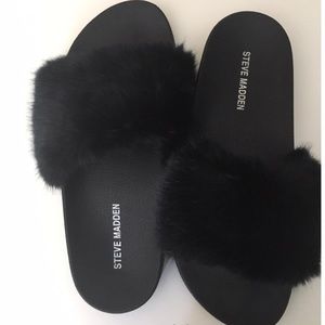 Softy slip ons Steve Madden