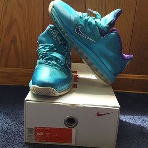 Lebron 9 low hornets