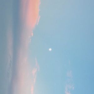 Meet your Posher, Lexi