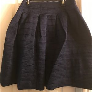 Navy Blue Skirt