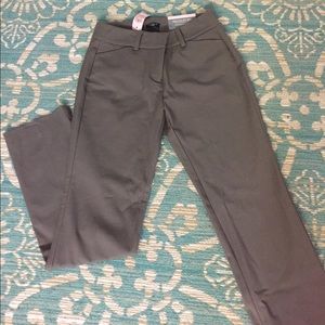Ann Taylor Petite Straight Leg Chino Pants
