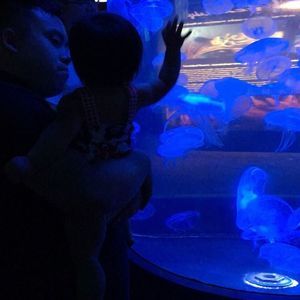 Meet your Posher, Hardy