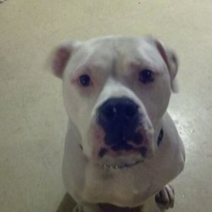 Meet your Posher, Coleen