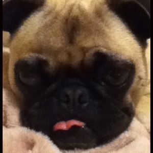 Meet your Posher, Ian