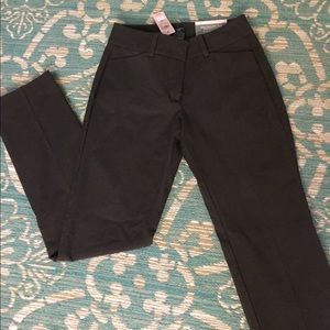 Ann Taylor Petite Straight Leg Chino Dress Pant