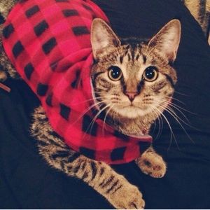 Meet your Posher, Kathy