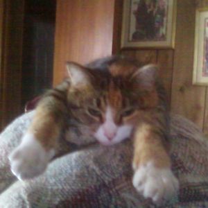 Meet your Posher, Randy