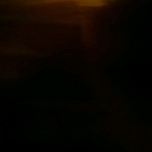 Meet your Posher, Donavan