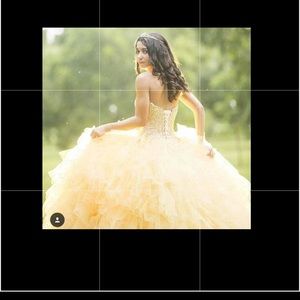Quinceañera dress / social dress / prom dress