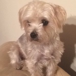 Meet your Posher, Ashlyn