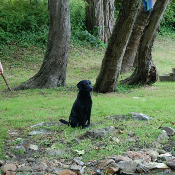 Meet your Posher, Jamie - Picture 1 of 1