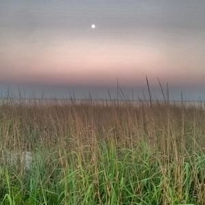 Meet your Posher, Timothy