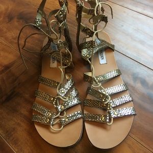 Steve Madden Gladiator Sandals