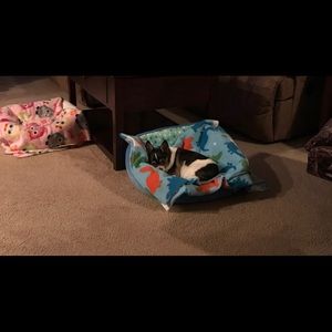 Meet your Posher, Julie