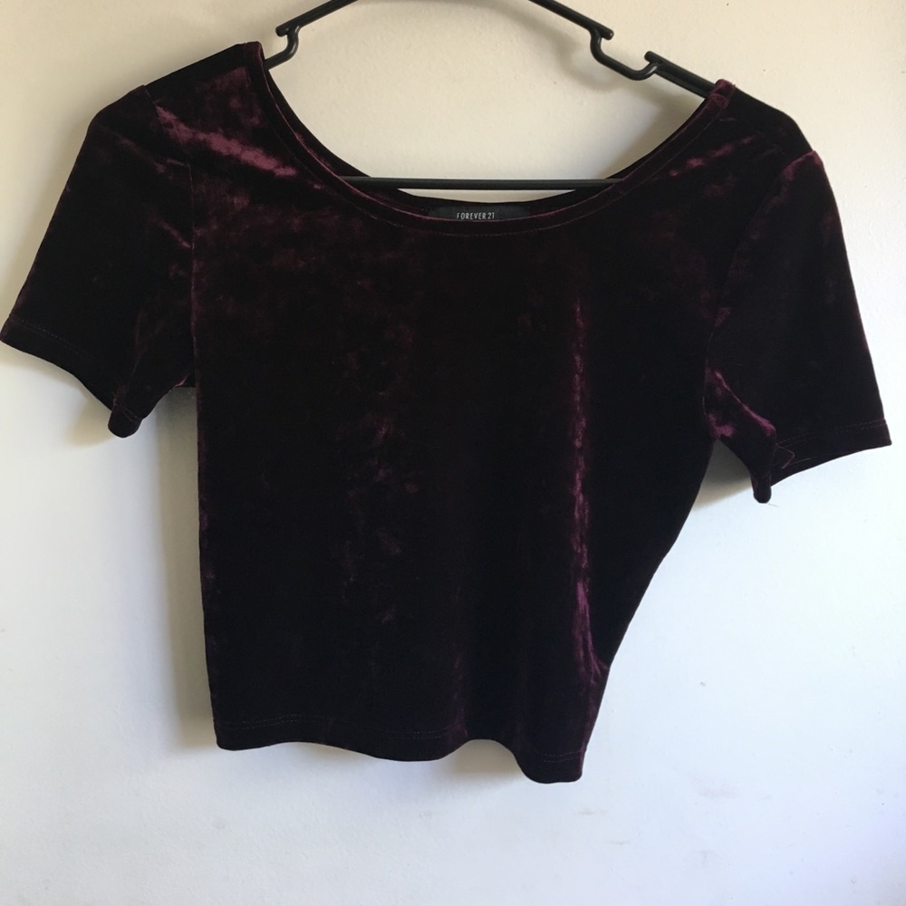 Maroon Velvet Crop Top