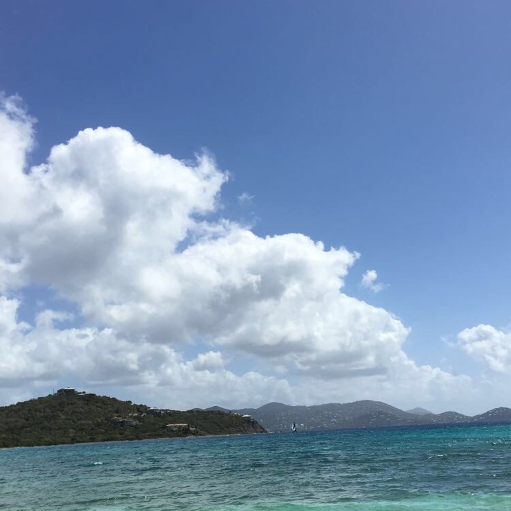 Meet your Posher, Ella