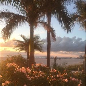 Meet your Posher, Macie