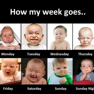 Meet your Posher, Carla