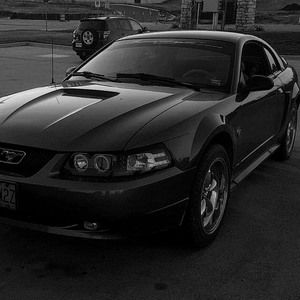 Meet your Posher, Brennan